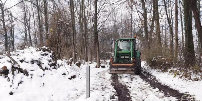 Ein Lehrling wurde während Forstarbeiten in einem Wald an der Bürerstrasse schwer verletzt.