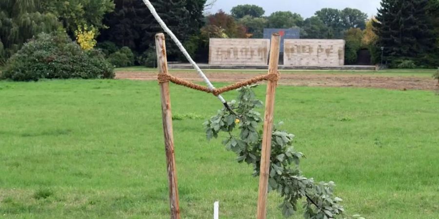 Die von Unbekannten abgesägte deutschen Eiche im Schwanenteichpark. Der Baum war Teil eines Gedenkortes für Enver Simsek, dem ersten NSU-Mordopfer. Foto: -/Stadtverwaltung Zwickau/dpa