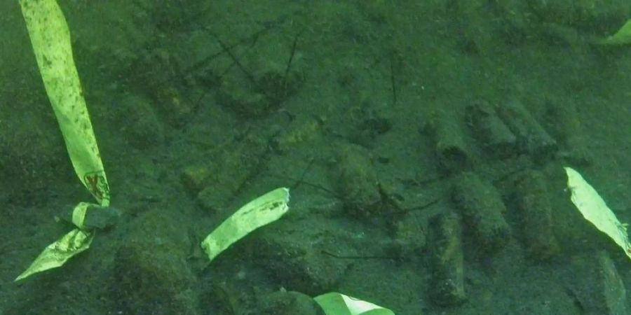 Im Luzerner Rotsee entdeckte und markierte Handgranaten.
