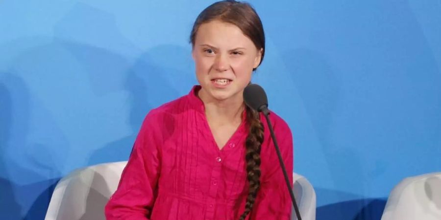 Für ihren Einsatz im Kampf gegen den Klimawandel ist Greta Thunberg mit dem Alternativen Nobelpreis ausgezeichnet worden. Foto: Jason Decrow/AP