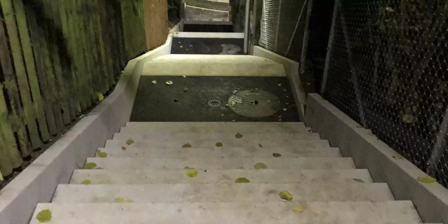 Treppenanlage «Reservoirstapfle»