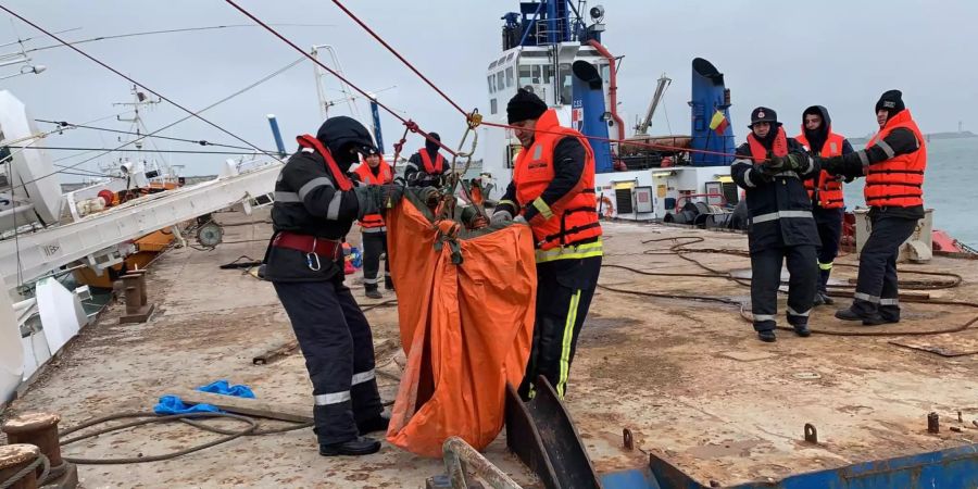 Vier Pfoten Schafe rettung