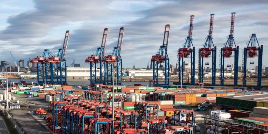 Der Hamburger Hafen: Das Kieler Institut für Weltwirtschaft (IfW) hat eine neue Prognose für 2021 abgegeben. Foto: Christian Charisius/dpa