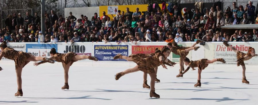 Eislaufclub Wohlen