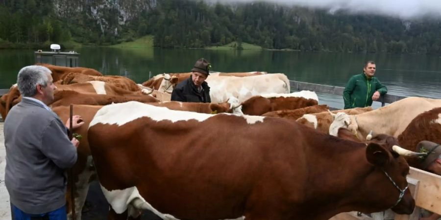 Verbraucher wollen mehr Transparenz bei Lebensmitteln
