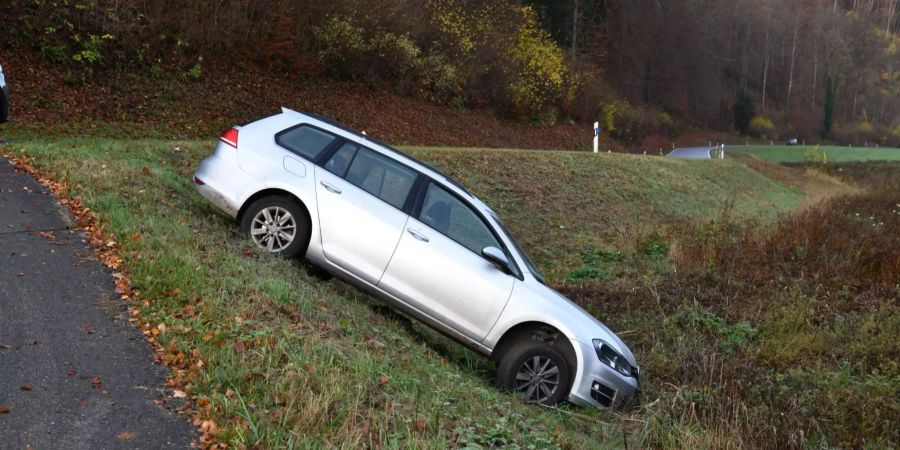 Fahrzeuglenker verursacht Selbstunfall unter Alkoholeinfluss