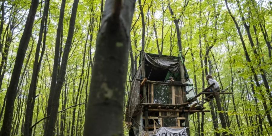 Protest im Dannenröder Forst