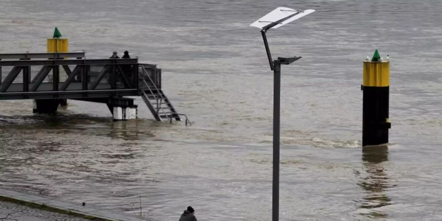 Ein Radfahrer steht am Kölner Rheinufer. Foto: Oliver Berg/dpa