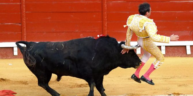 Torero Enrique Ponce