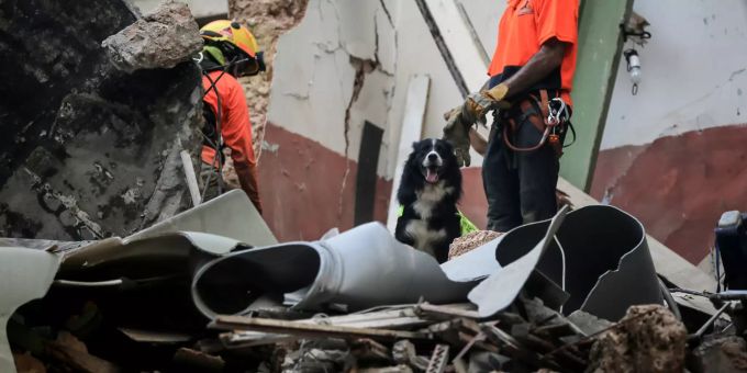 Fletch, ein Rettungshund des chilenischen Rettungsteams, steht in einem Gebäude, das bei der Explosion im vergangenen Monat eingestürzt ist, nachdem er bei einer Rettungsaktion in der Gegend von Gemmayzeh einen möglichen Überlebenden entdeckt hatte. beirut suche