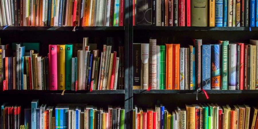 Symbolbild Bibliothek Region Uster