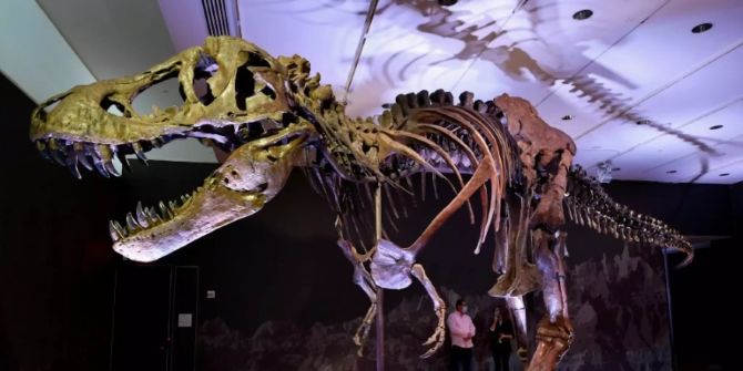 T-Rex