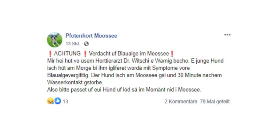 Moossee Blaualgen