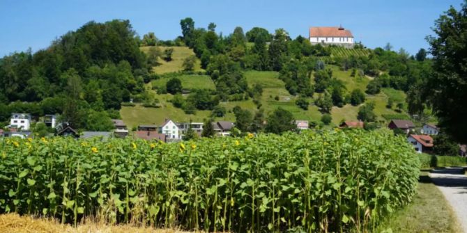 staufen