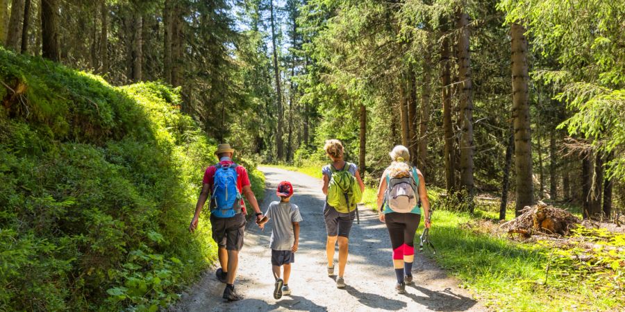 Familie wandert durch den sonnigen Wald.