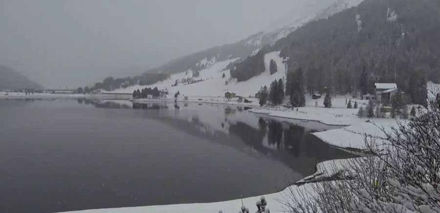 Am Davosersee (1560 m ü. M.) in Graubünden schneit es am Sonntag um 11 Uhr noch immer.