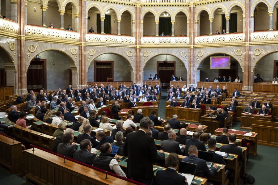 Das Parlament hat ein von der Regierung ins Spiel gebrachtes Verbot genehmigt.