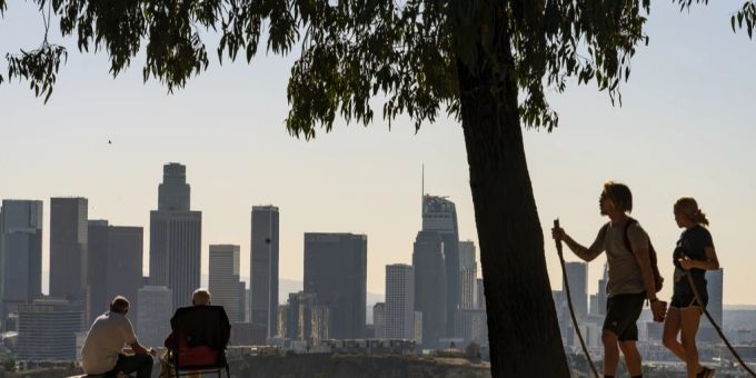 Eine Studie mit Daten aus Los Angeles zeigt: Städtische Bäume nehmen mehr CO2 auf, als bisher angenommen. Los Angeles
