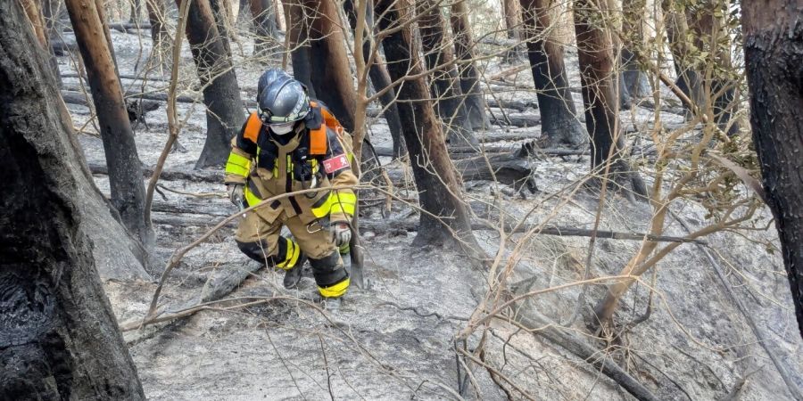 Japan Waldbrand