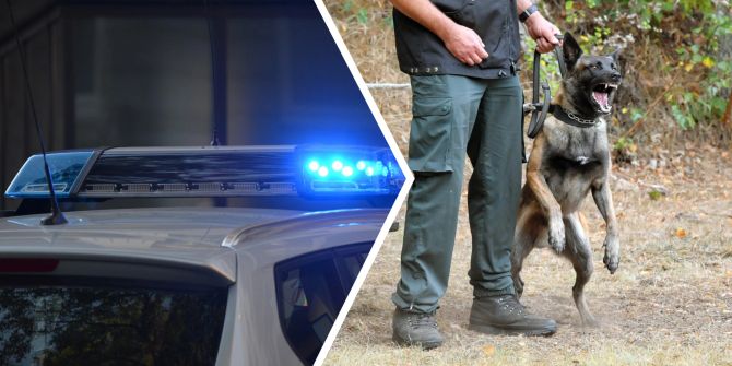 Polizeihund Blaulicht Symbolbilder