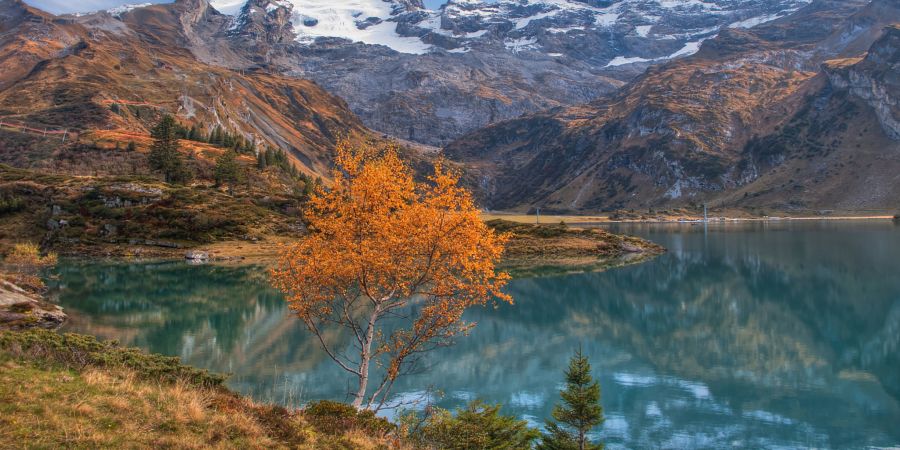 Engelberg Trübsee Herbst