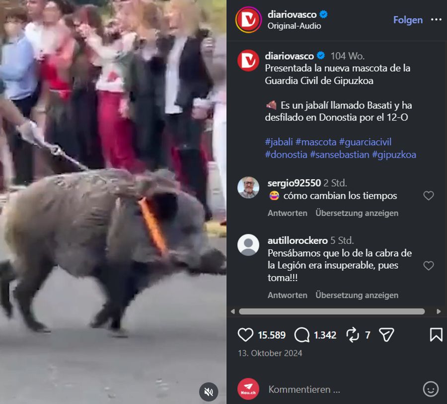 Iratxos Vorgänger Basati hatte 2024 sogar einen grossen Auftritt: Er durfte bei der Parade zum spanischen Nationalfeiertag mitmarschieren.