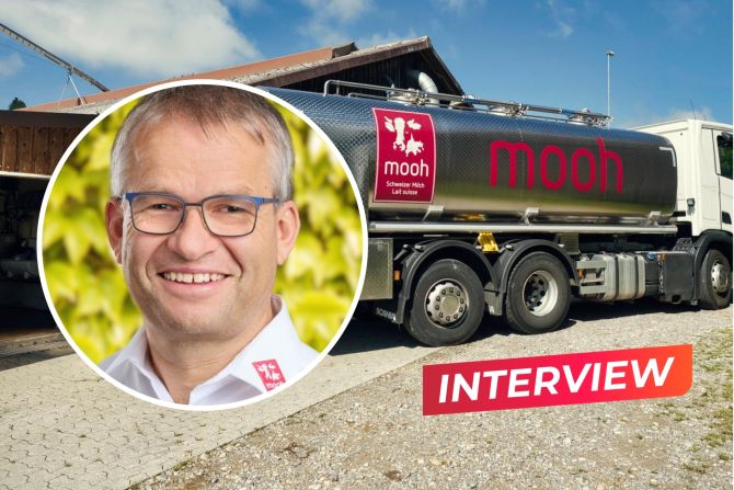 «Kühe können nicht einfach Milch mit mehr Protein geben»