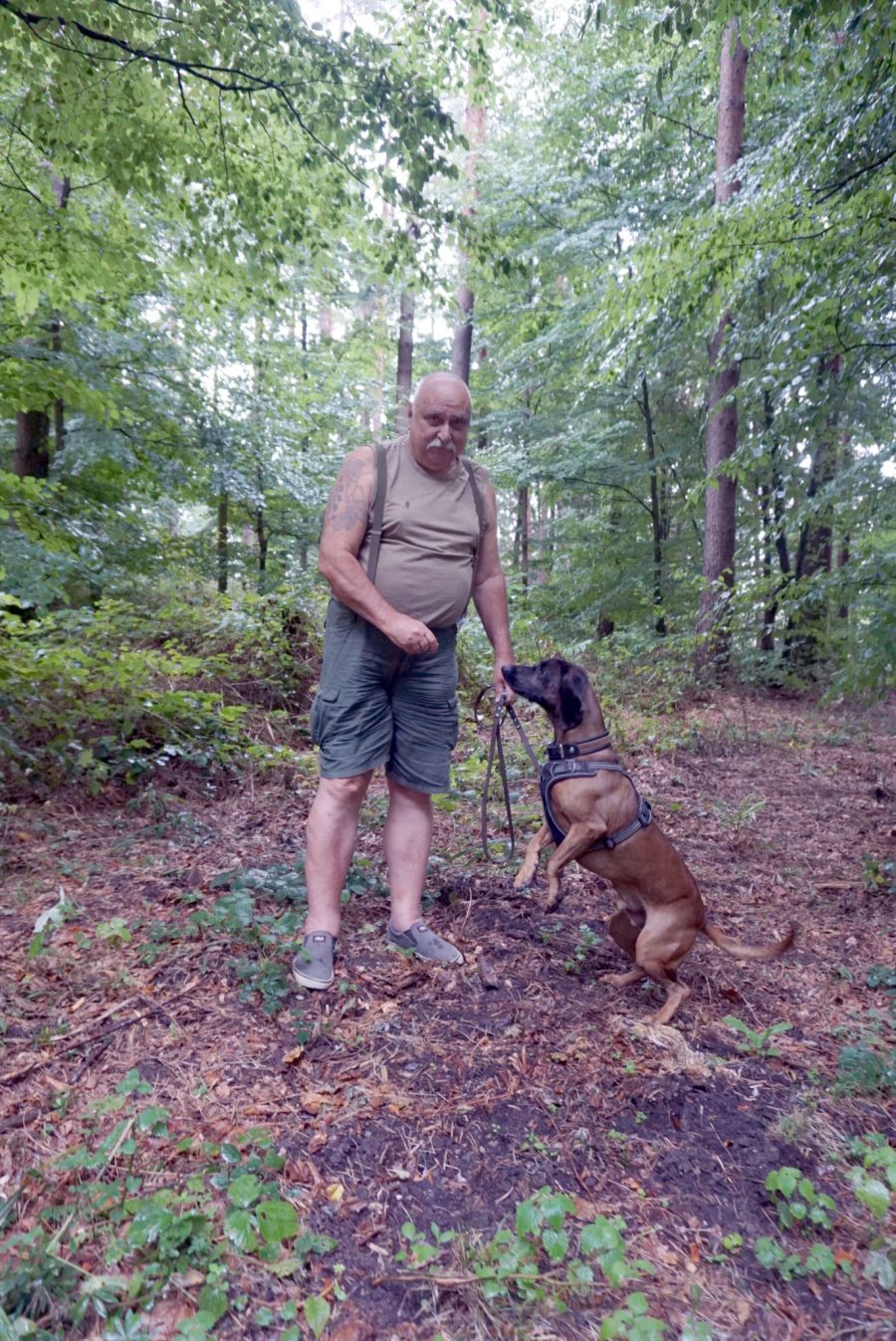 Keiner kennt den Eschenbergwald so gut wie Jagdobmann Harry Kohler.