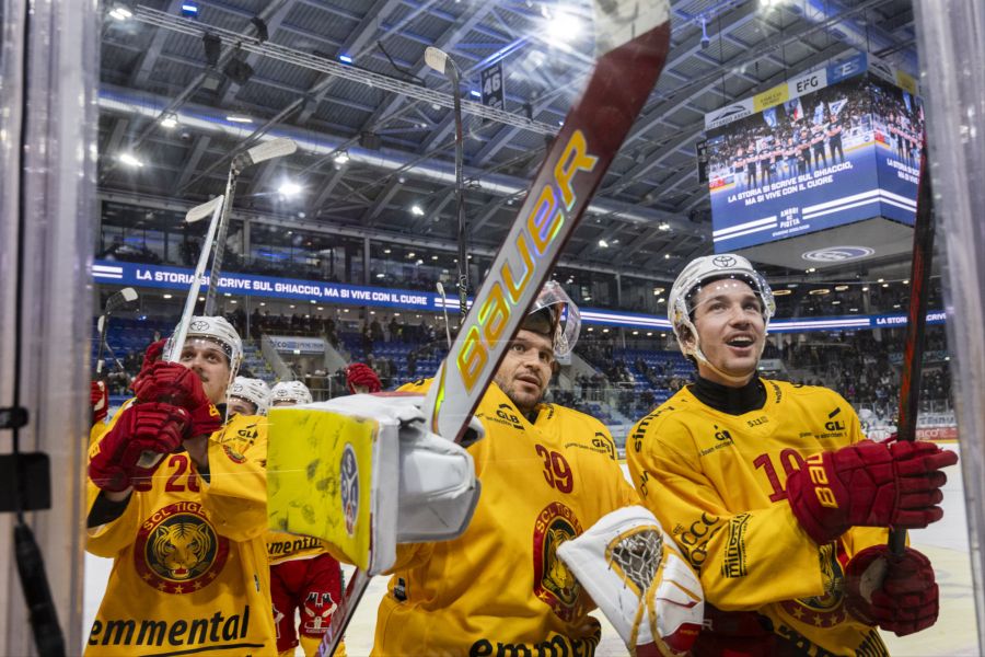 zsc lions