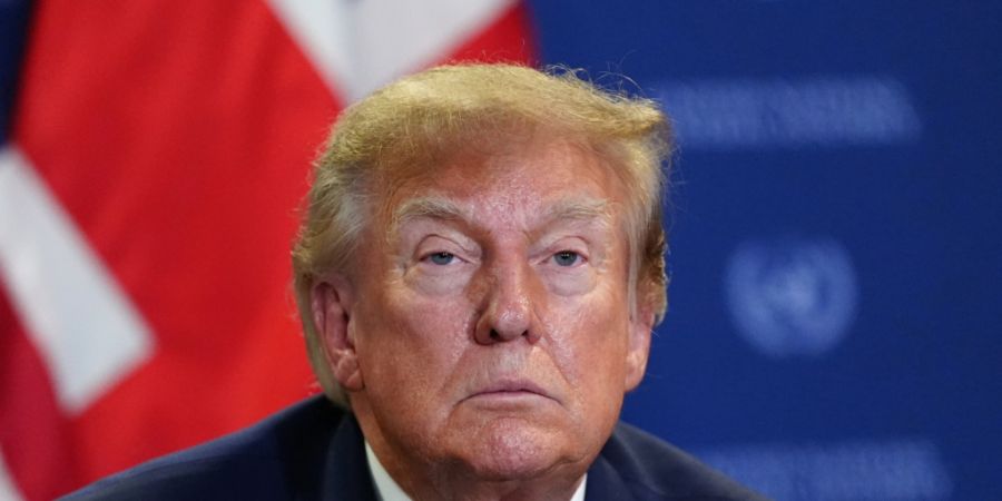 Angesichts steigender Preise vor allem für Diesel prüft die US-Regierung unter Präsident Donald Trump einen Exportstopp des Kraftstoffs.