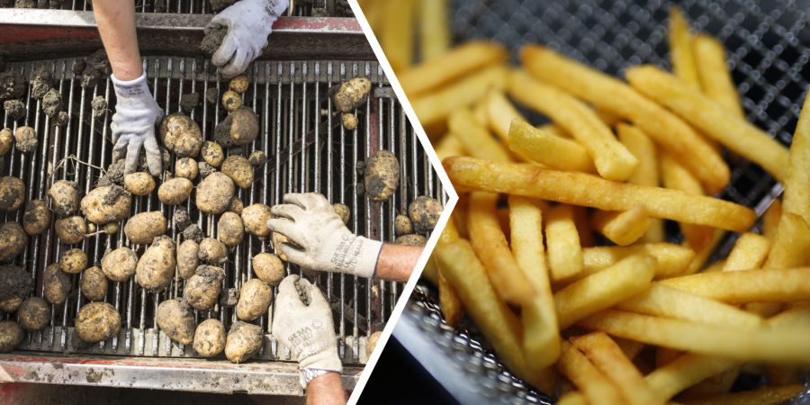 Pommes