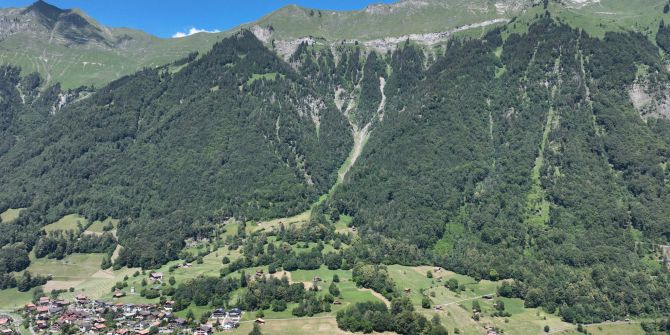 Oberried