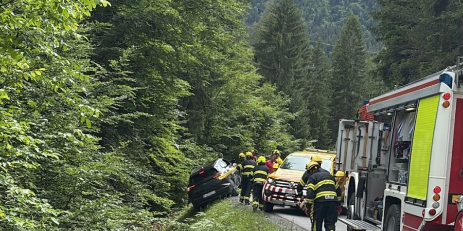 Der Rentner geriet beim Rückwärtsfahren über die Fahrbahn hinaus und blieb an einem Abhang stecken.