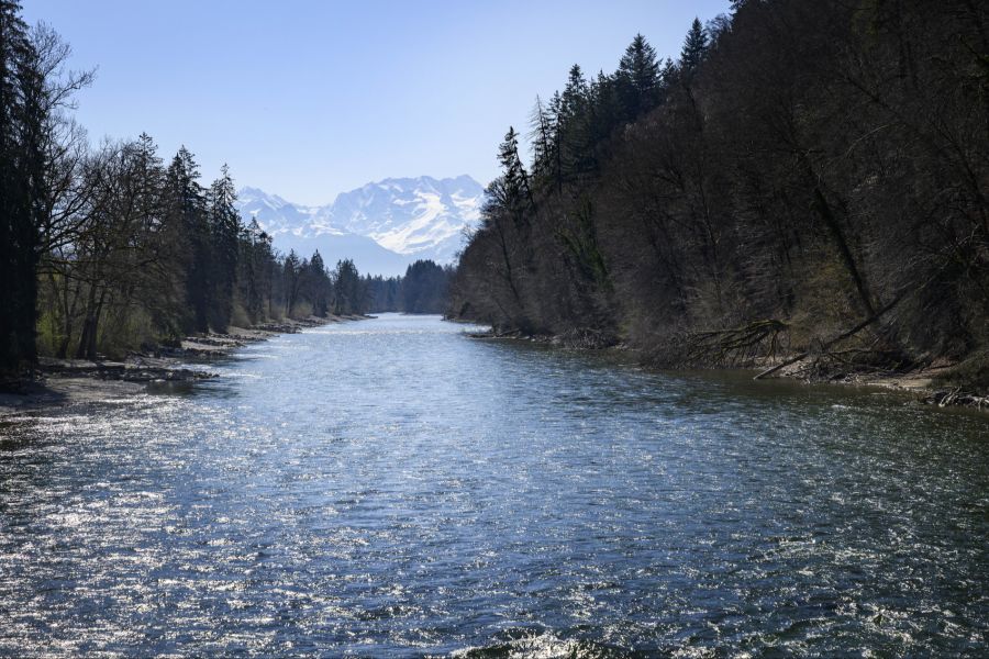 Aare Münsingen