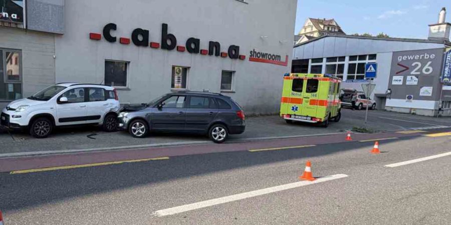 Ein Autofahrer geriet in Herisau aufgrund eines Wespenstichs von der Fahrbahn ab.