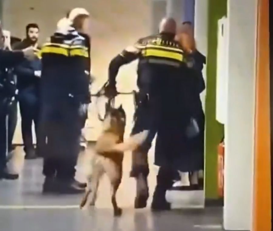 Nachdem eine offenbar schwangere Frau den Beamten nicht aus dem Weg geht, greift einer der Beamten ein.