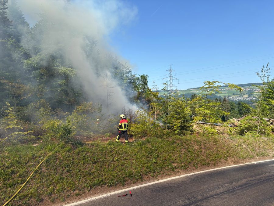 Ein Feuerwehrangehöriger musste sich ins Spital begeben.