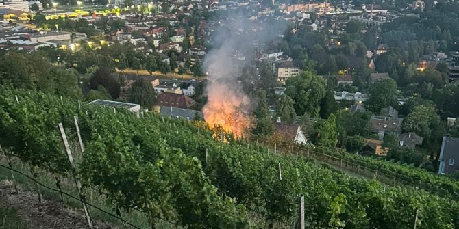 Brand auf Wiese