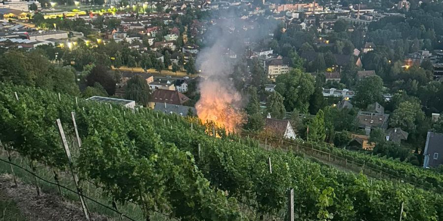 Brand auf Wiese