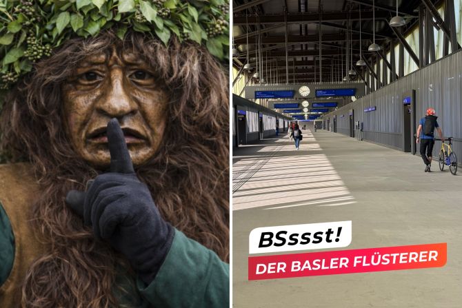 basler flüsterer