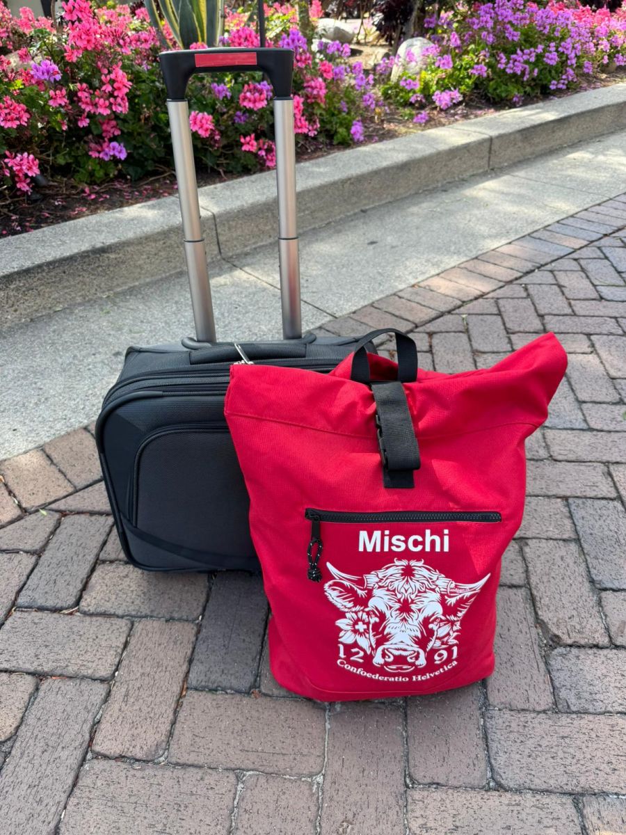 Für Nau.ch-Chefreporter Mischi Wettstein ging es von San Diego nach San Jose.