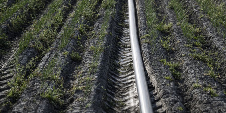 Die Landwirtschaft darf aus gewissen Flüssen aufgrund der anhaltenden Trockenheit kein Wasser mehr entnehmen. (Symbolbild)