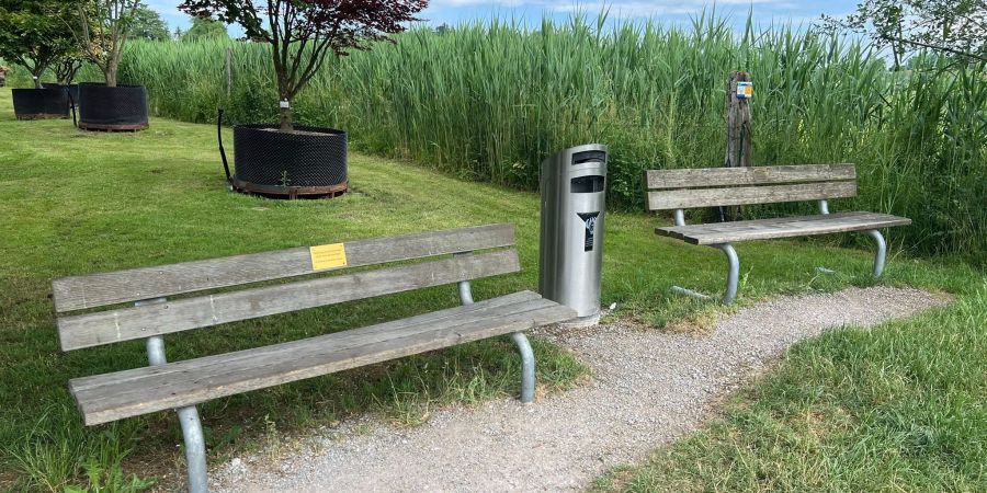 Spazierende am Lützelsee scheuen laut einem Facebook-User die Sitzbänke wegen der stinkenden Kübel.