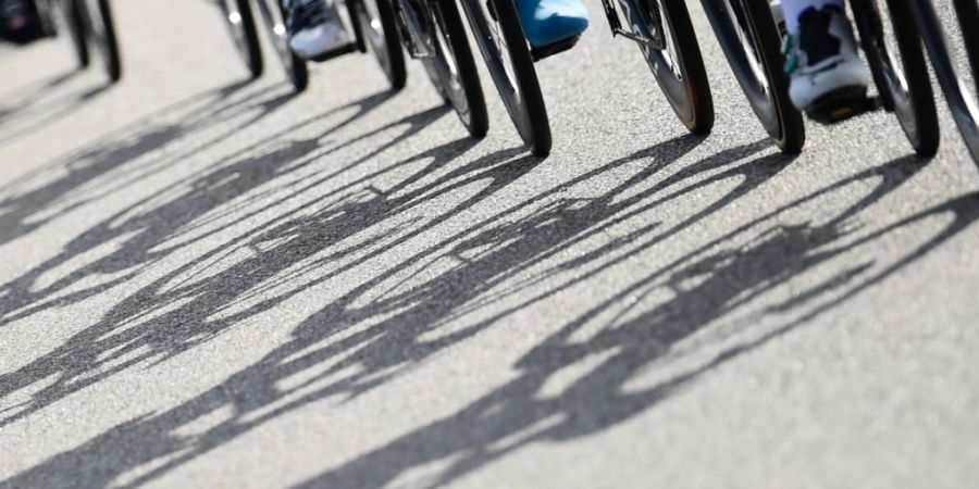 ARCHIV - Die Schatten der Radfahrer auf dem Asphalt sind bei der 13. Etappe des Giro d'Italia zu sehen. Foto: Fabio Ferrari/LaPresse via ZUMA Press/dpa