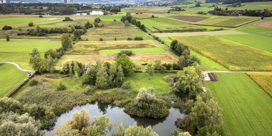 Was der Bund bisher für die Biodiversität unternommen hat, genügt in den Augen der parlamentarischen Oberaufsicht nicht. (Themenbild)