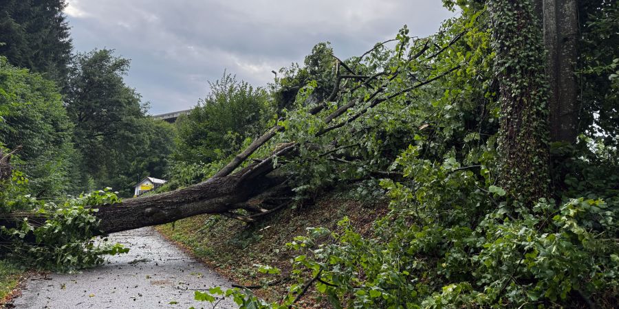 Unwetter