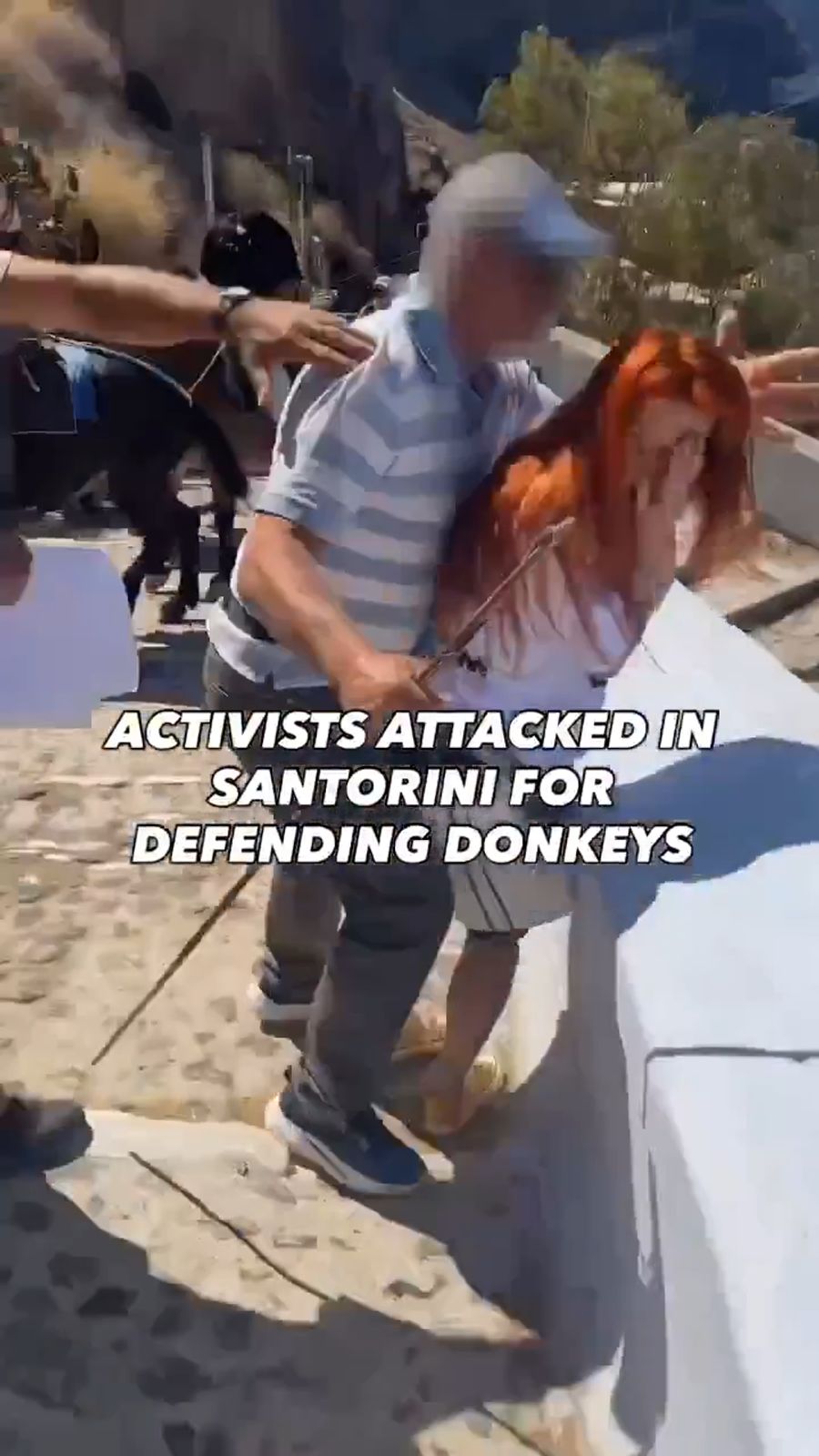 Eine der Aktivistinnen wurde laut Peta von einem Eseltreiber geschlagen.