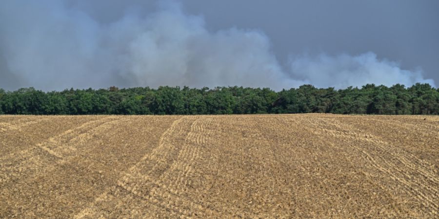 Bei Waldbränden im historischen Wald von Fontainebleau, etwa 60 km südlich von Paris steigen Rauchwolken in den Himmel. Foto: Emma Da Silva/AP/dpa