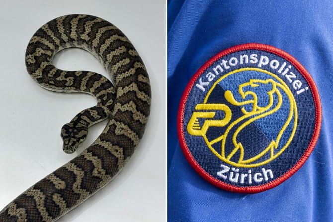 Kantonspolizei Zürich Python