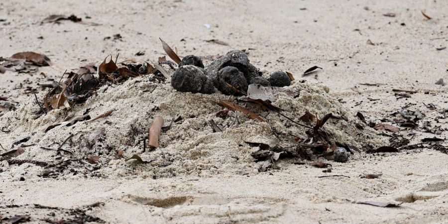 Strand Australien